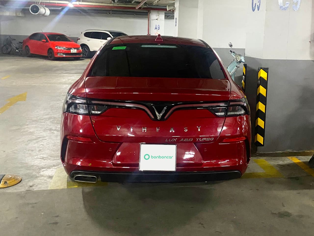 Hình ảnh 2 Image 2