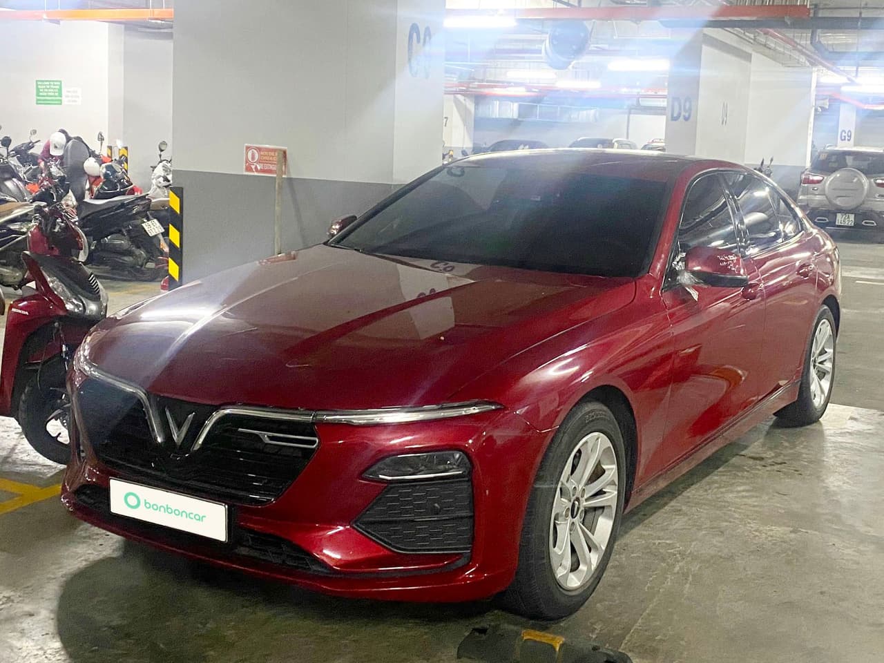 Hình ảnh 1 Image 1