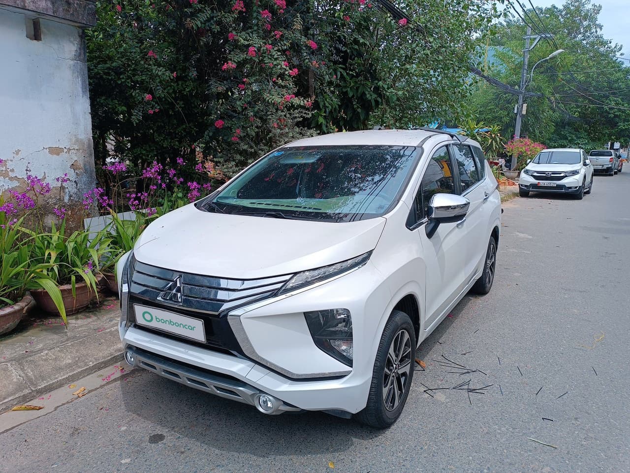 Hình ảnh 1 Image 1