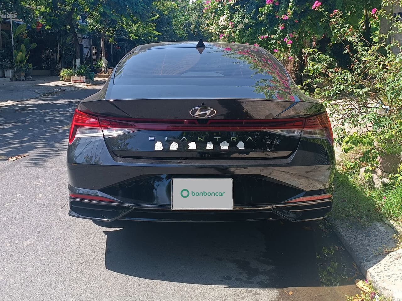 Hình ảnh 4 Image 4