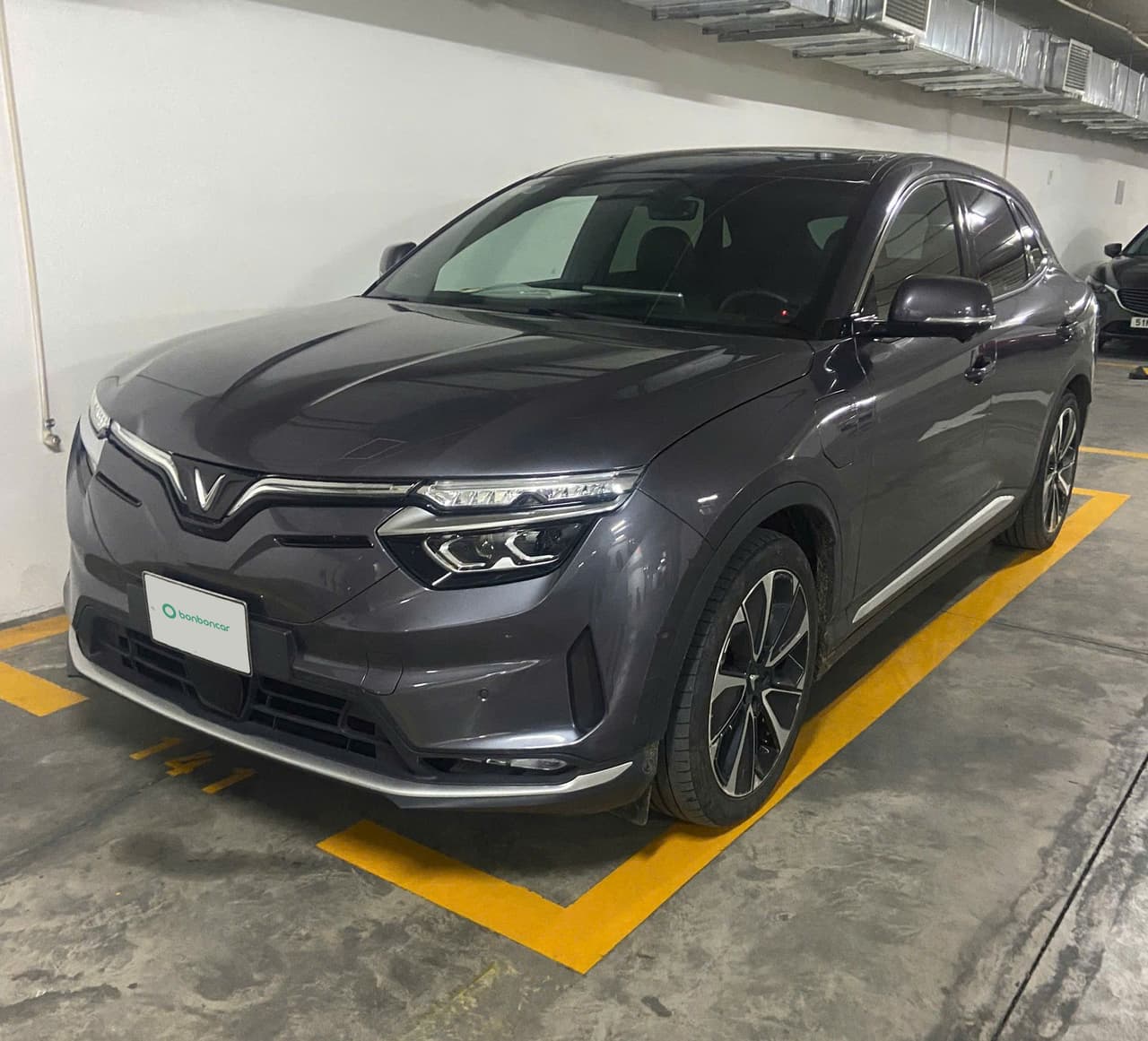 Hình ảnh 1 Image 1