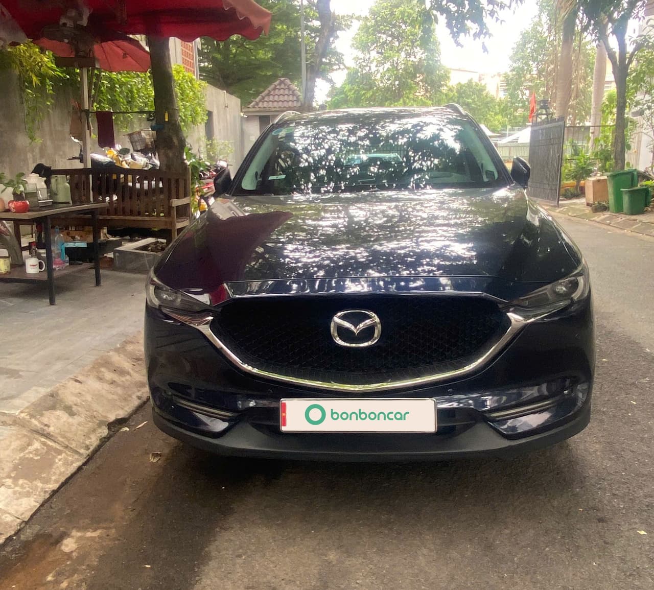 Hình ảnh 1 Image 1