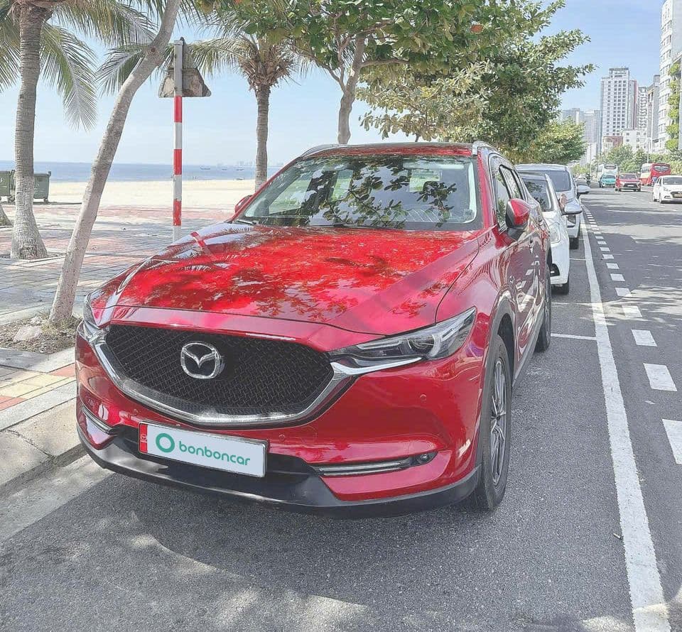 Hình ảnh 1 Image 1