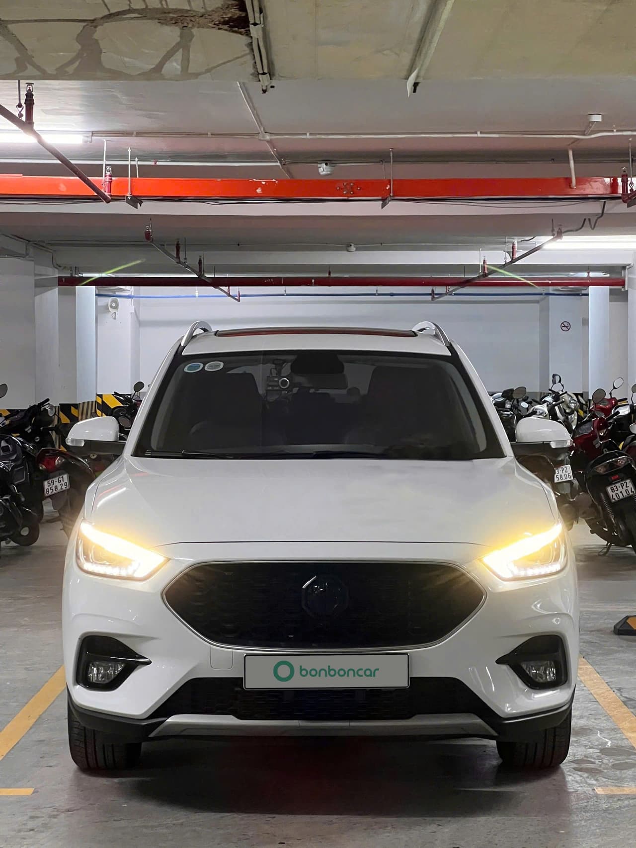 Hình ảnh 1 Image 1