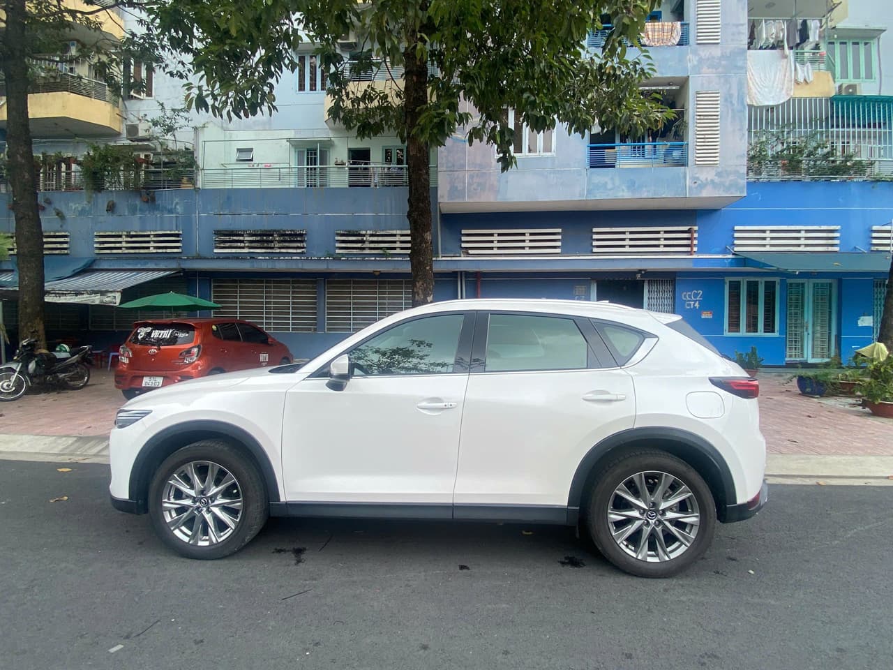 Hình ảnh 5 Image 5