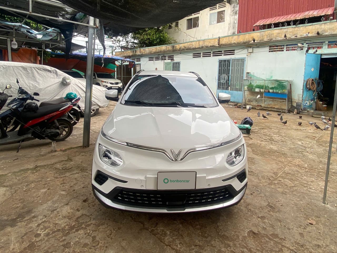 Hình ảnh 1 Image 1