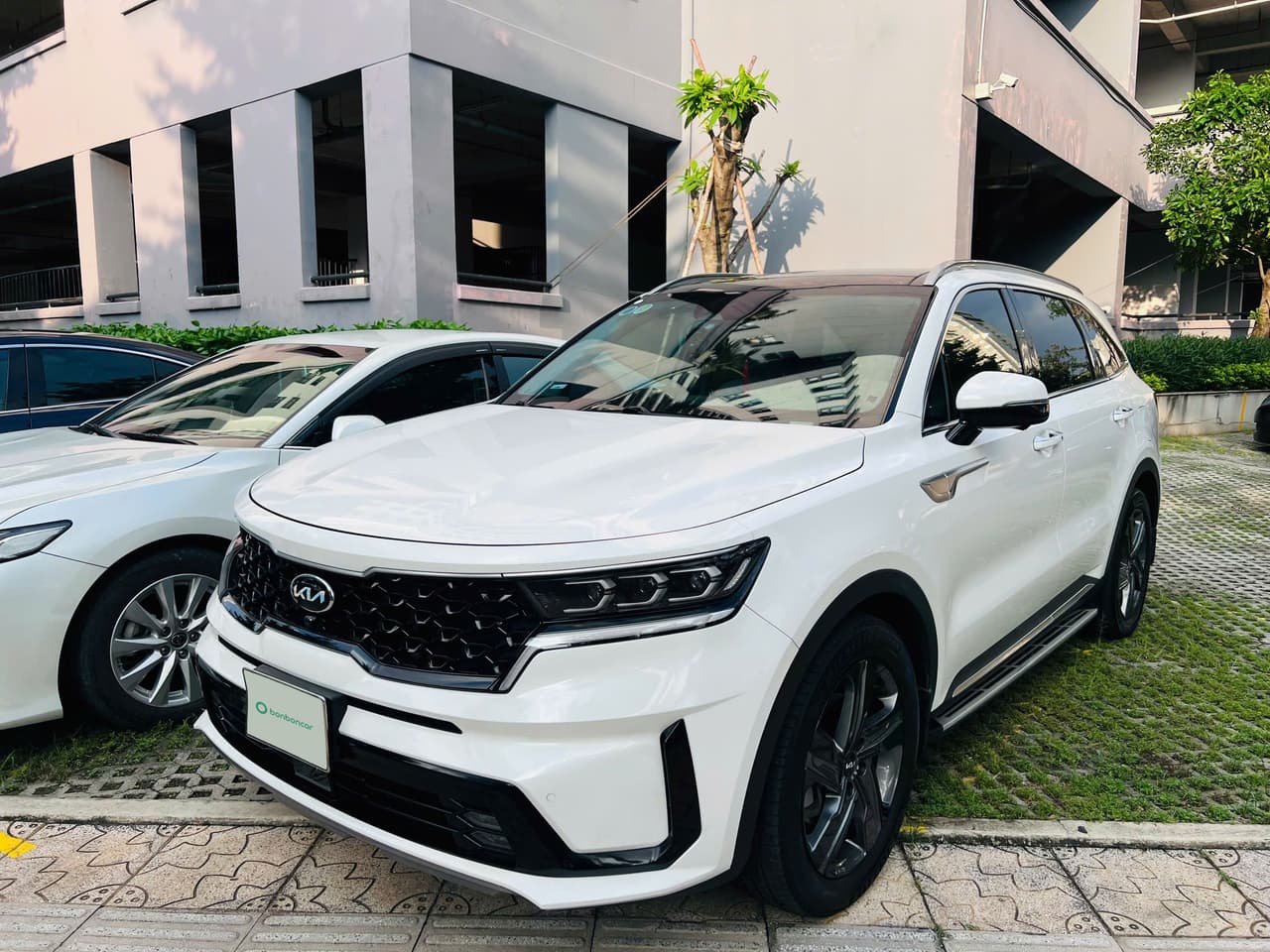 Hình ảnh 10 Image 10