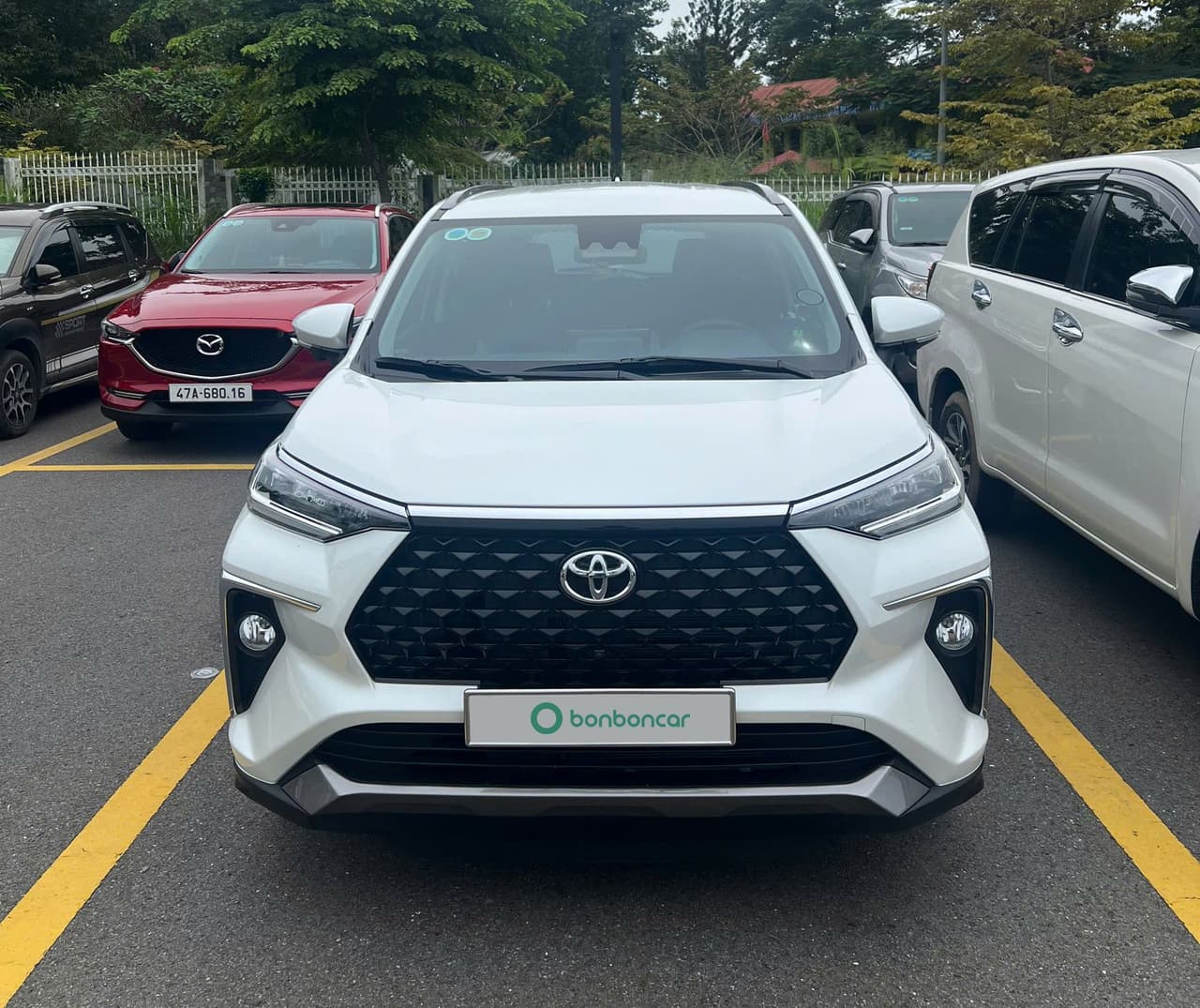 Hình ảnh 1 Image 1