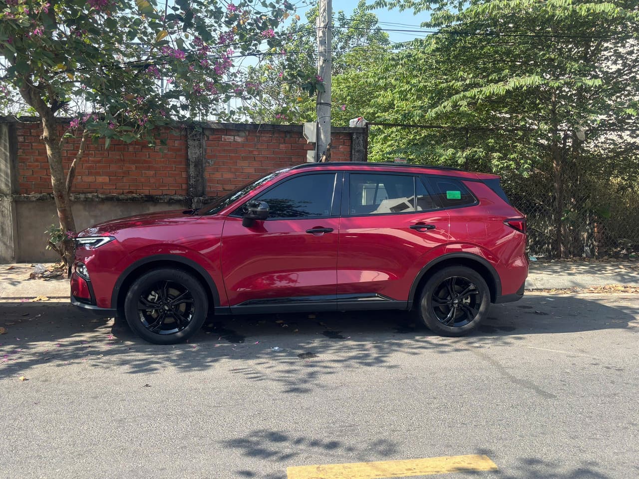 Hình ảnh 2 Image 2