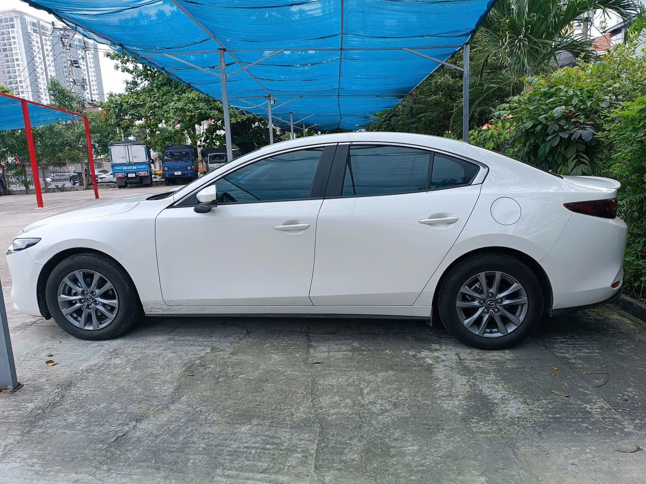 Hình ảnh 6 Image 6