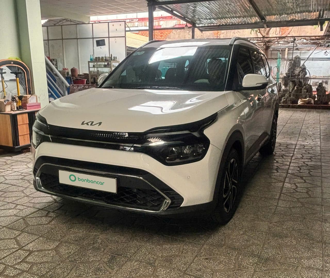 Hình ảnh 1 Image 1