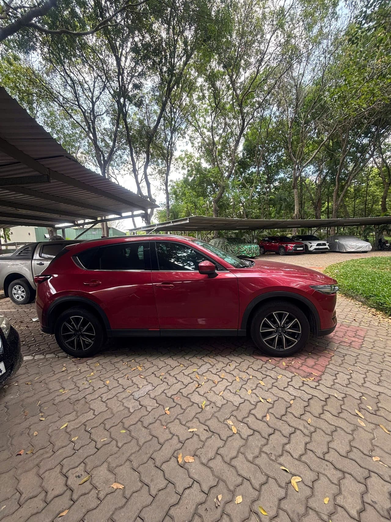 Hình ảnh 2 Image 2