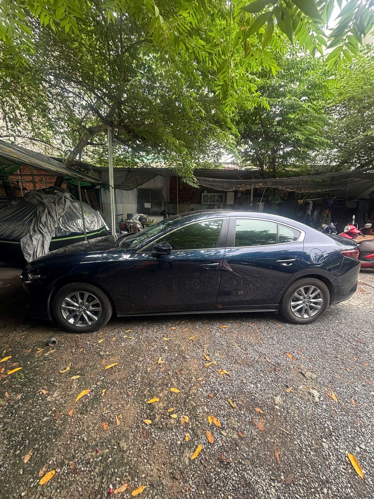 Hình ảnh 5 Image 5