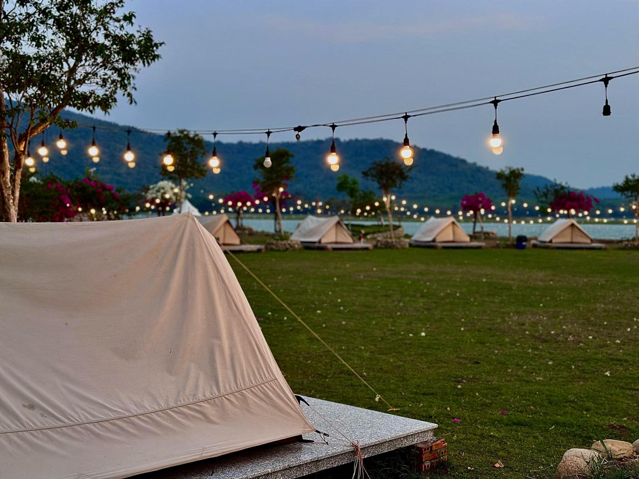 Bằng Lăng Glamping – Glamping Tân Uyên 2025