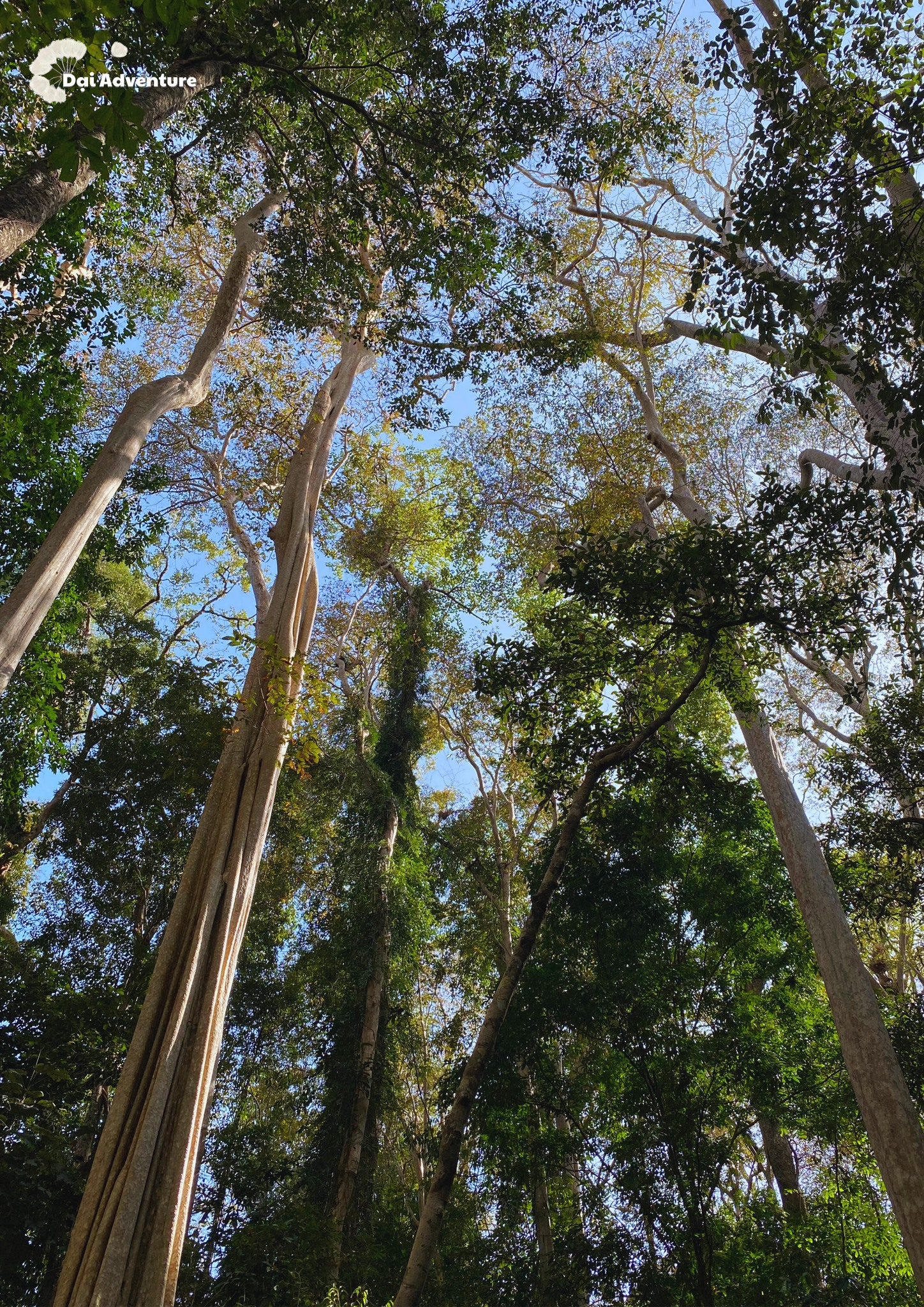 Rừng Nam Cát Tiên, Đồng Nai