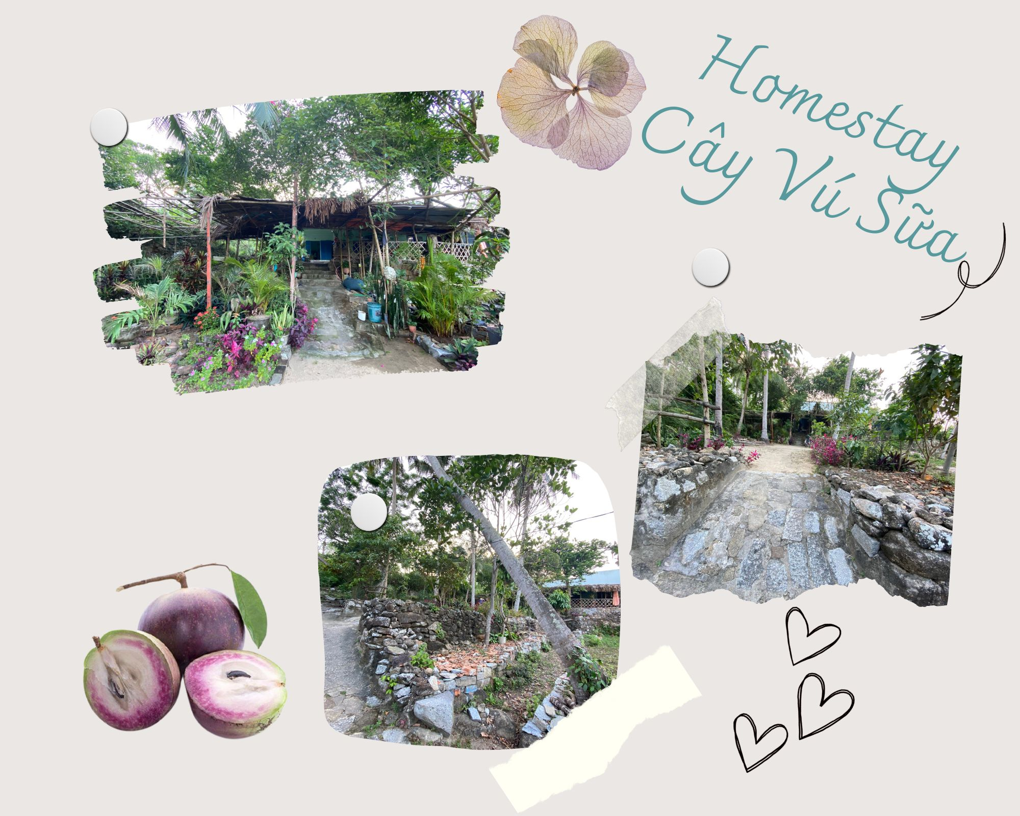 Top 15 homestay ở làng Gò Cỏ