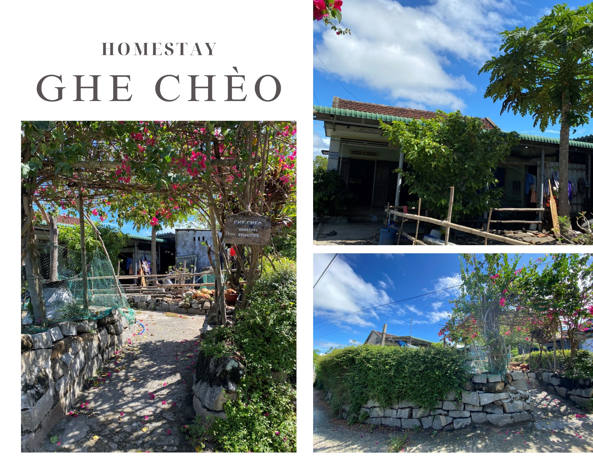 Top 15 homestay ở làng Gò Cỏ