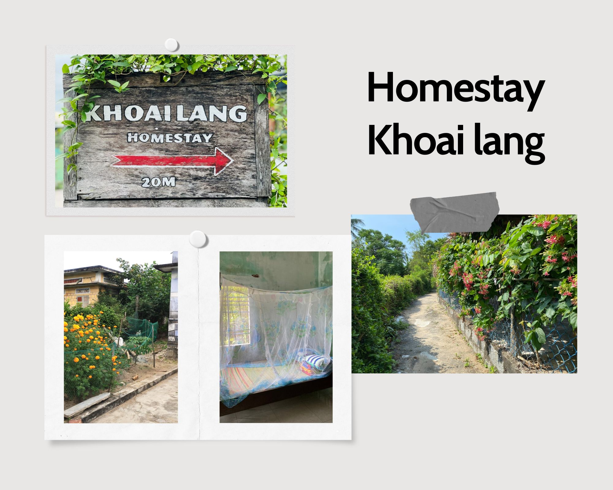 Top 15 homestay ở làng Gò Cỏ