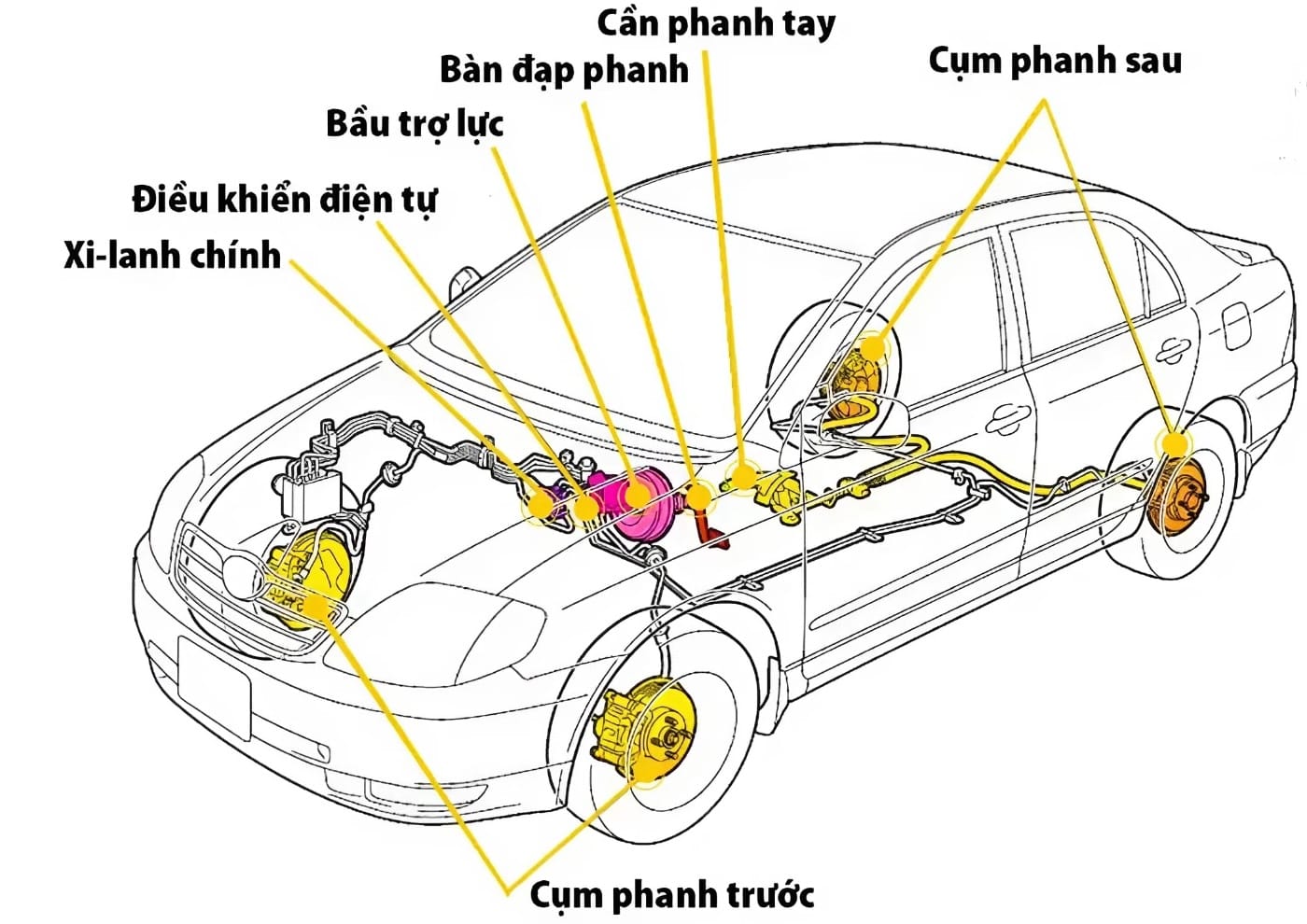 Cấu tạo hệ thống phanh ô tô với bàn đạp, bầu trợ lực và xilanh