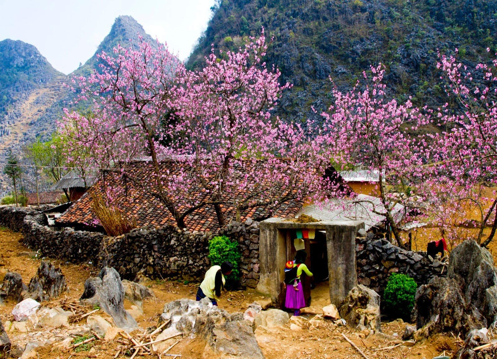Hà Giang – Vẻ đẹp hoang sơ