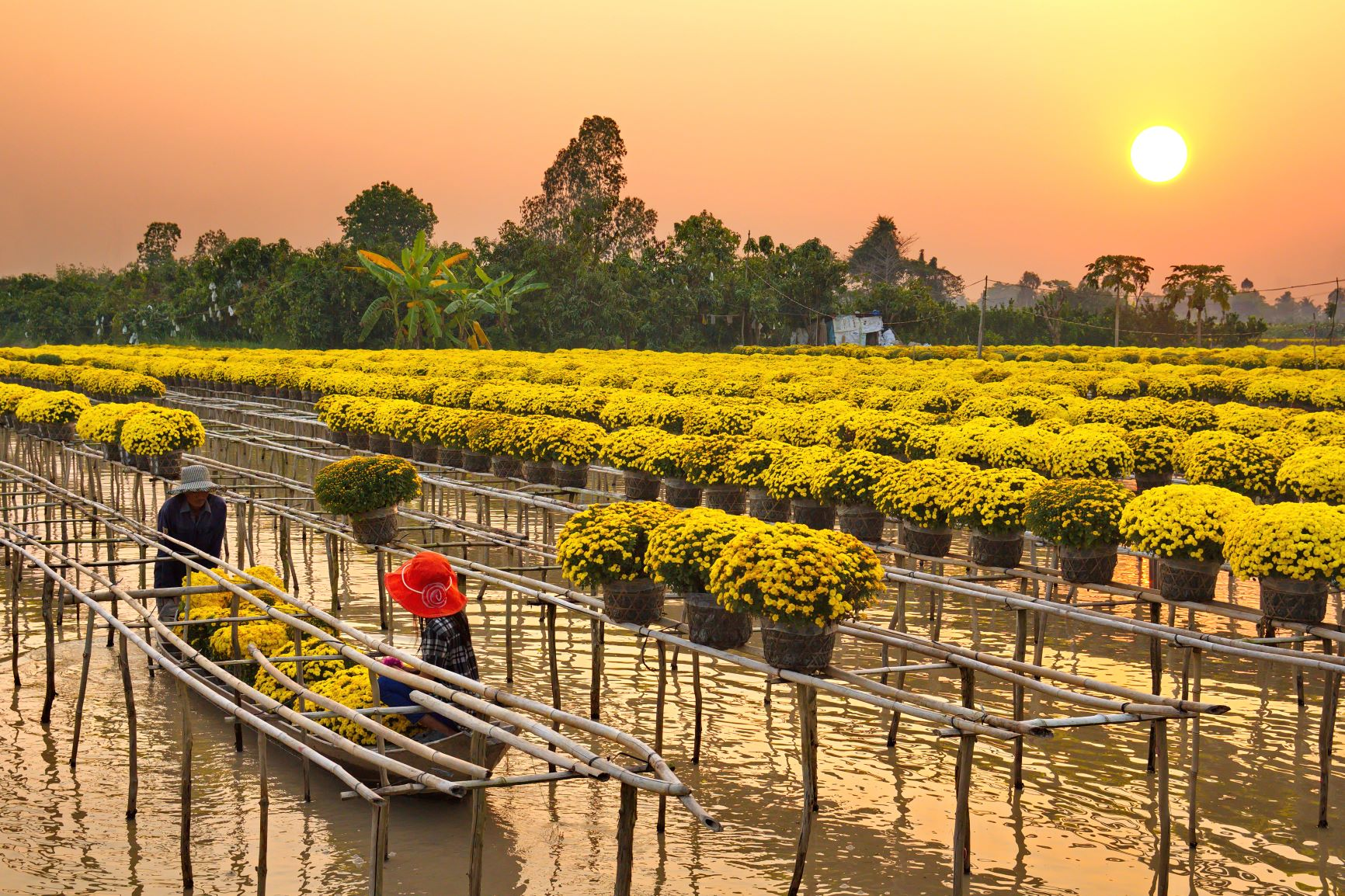 Đồng Tháp – làng hoa Sa Đéc