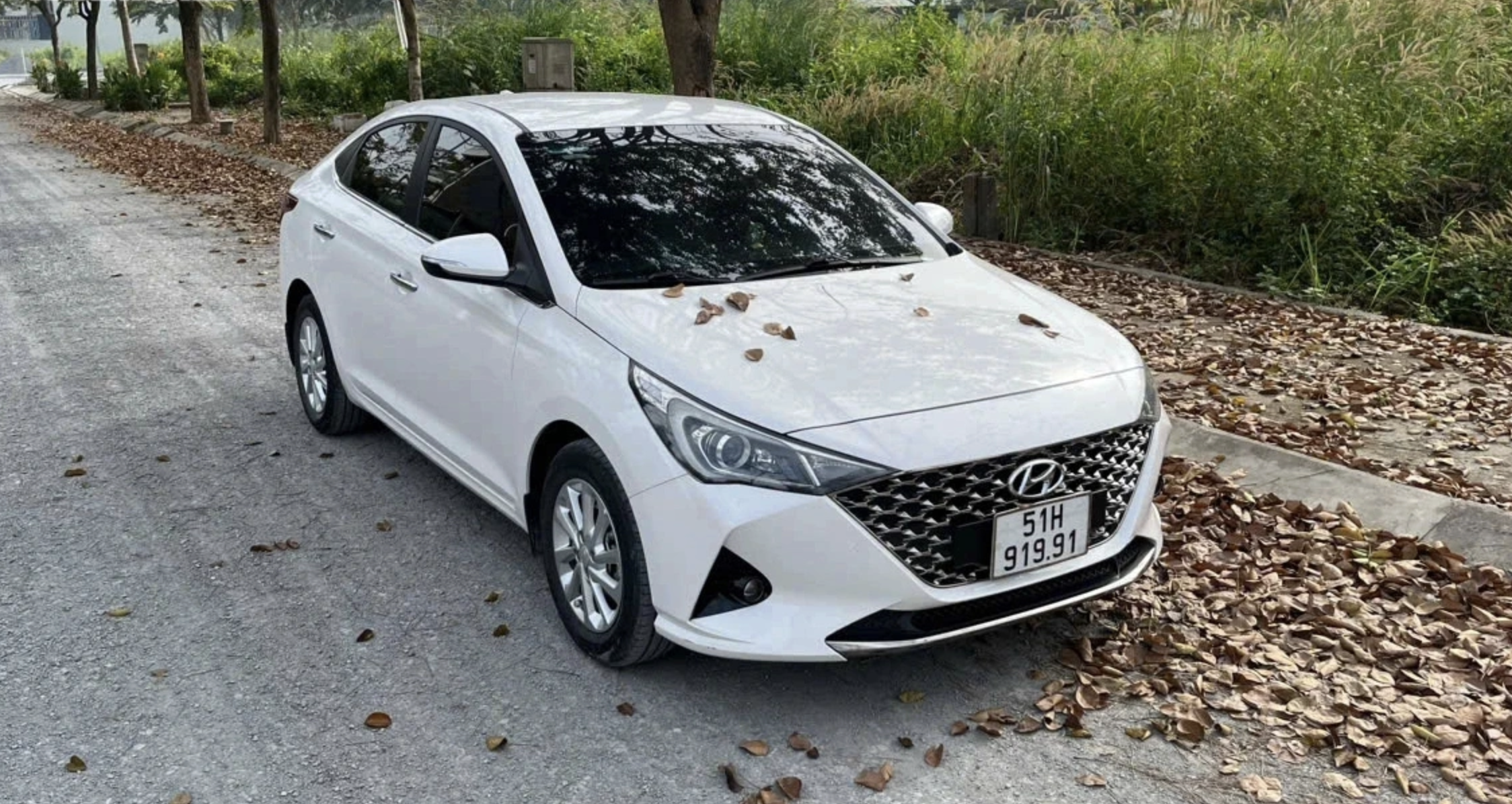 Rác Vụn, Lá Cây Gây Tắc Nghẽn Thoát Nước Và Hệ Thống Điều Hòa