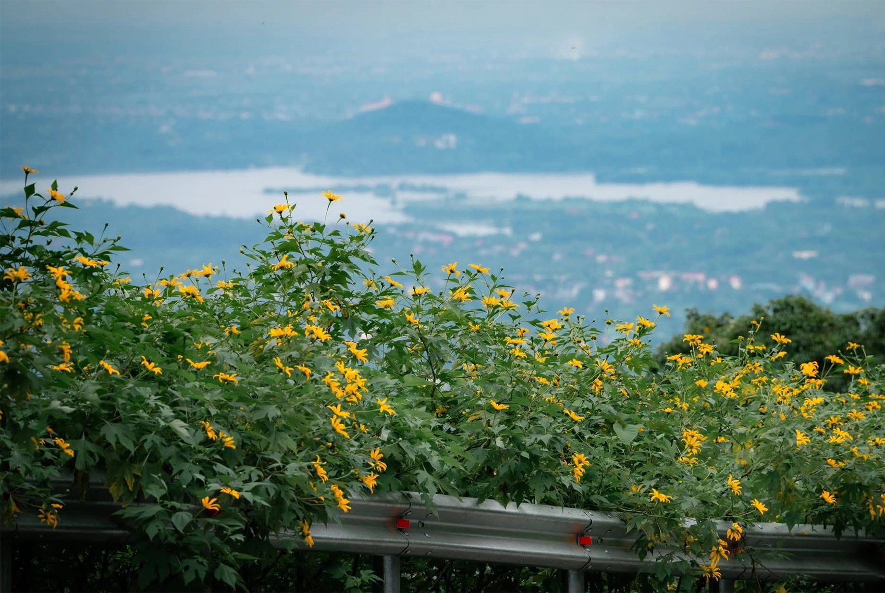 Ba Vì Mùa Nào Đẹp Nhất Và Hướng Dẫn Di Chuyển Chi Tiết