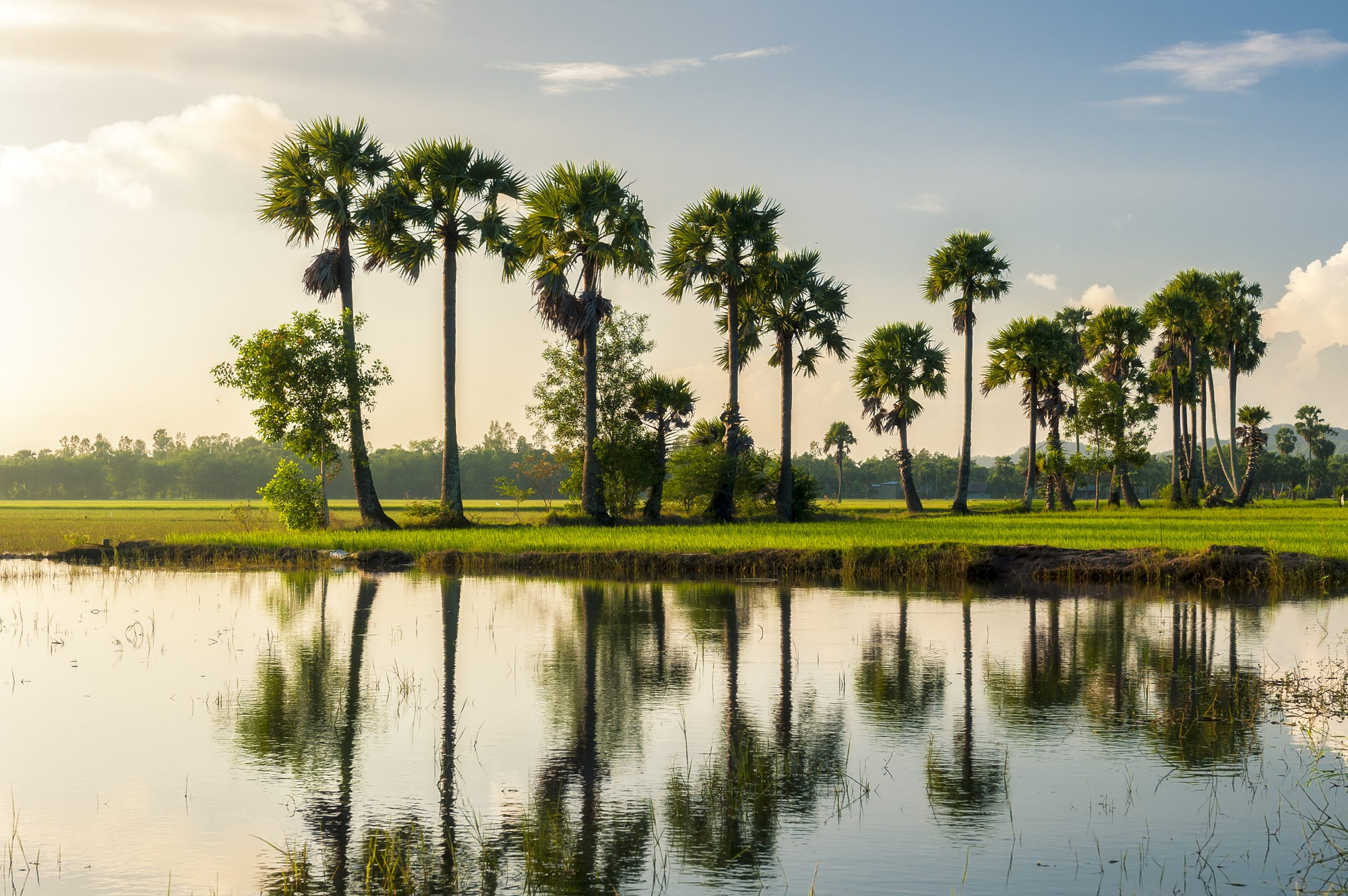 Du Lịch Miền Tây (Đồng Tháp - An Giang)
