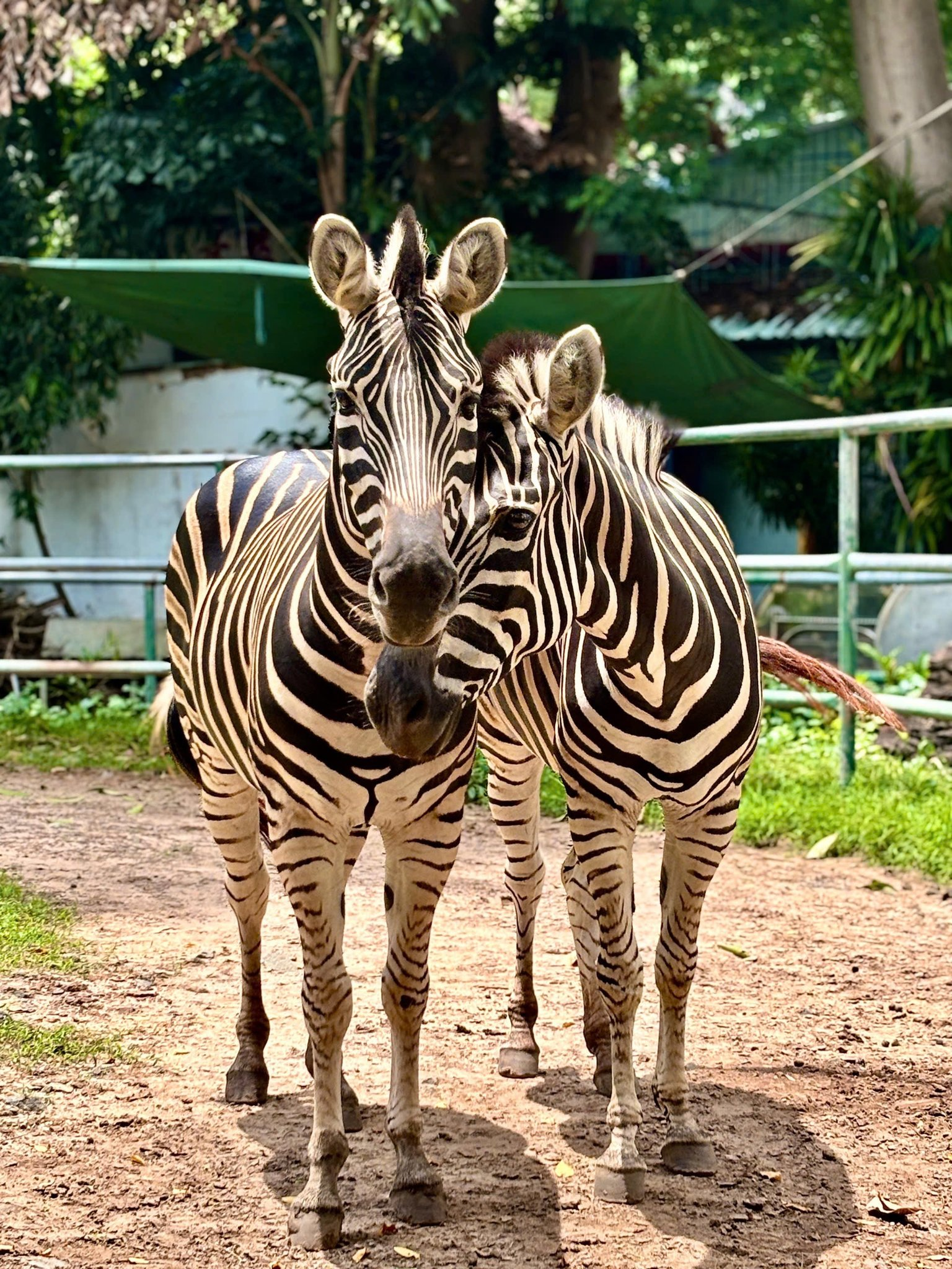 Các Khu Vườn Thú Nổi Bật