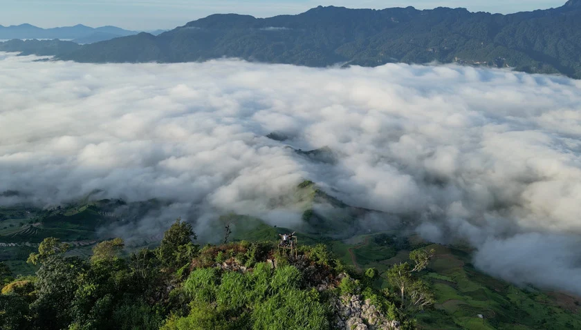 Săn mây tại Thung lũng Mu Náu hoặc Đỉnh Pha Luông