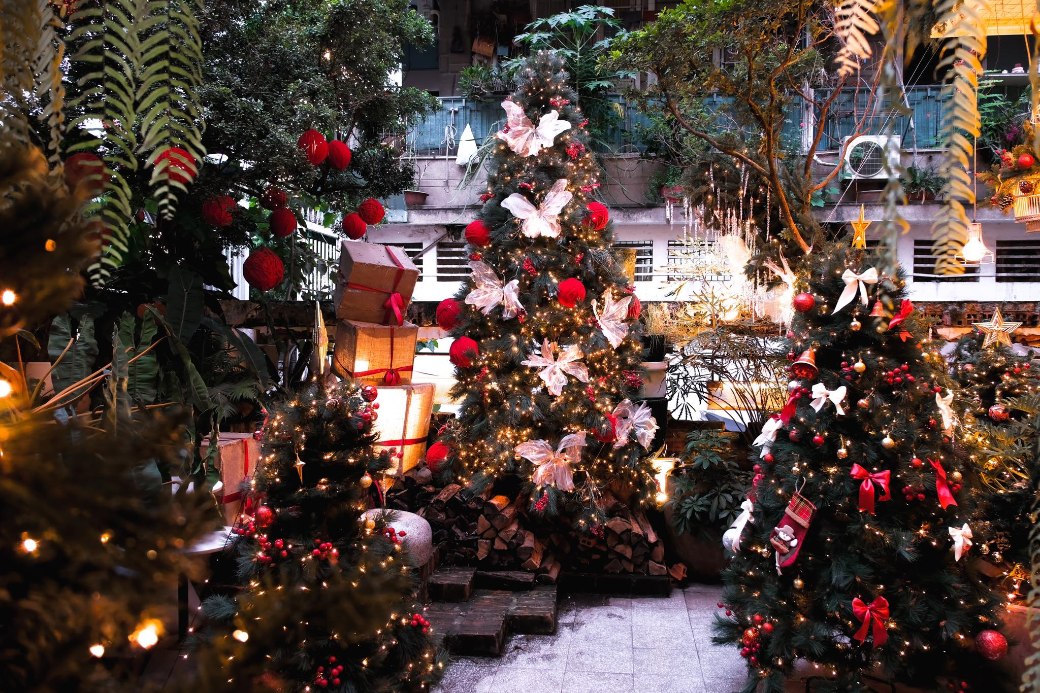 Oromia Coffee & Lounge (Q.1)