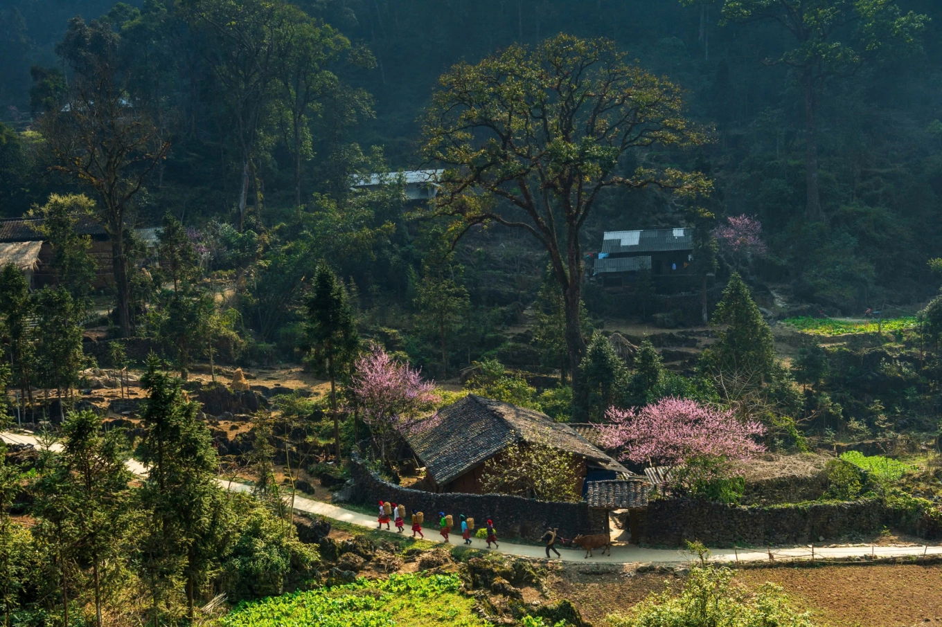 Cao Nguyên Đá Đồng Văn Ở Đâu?