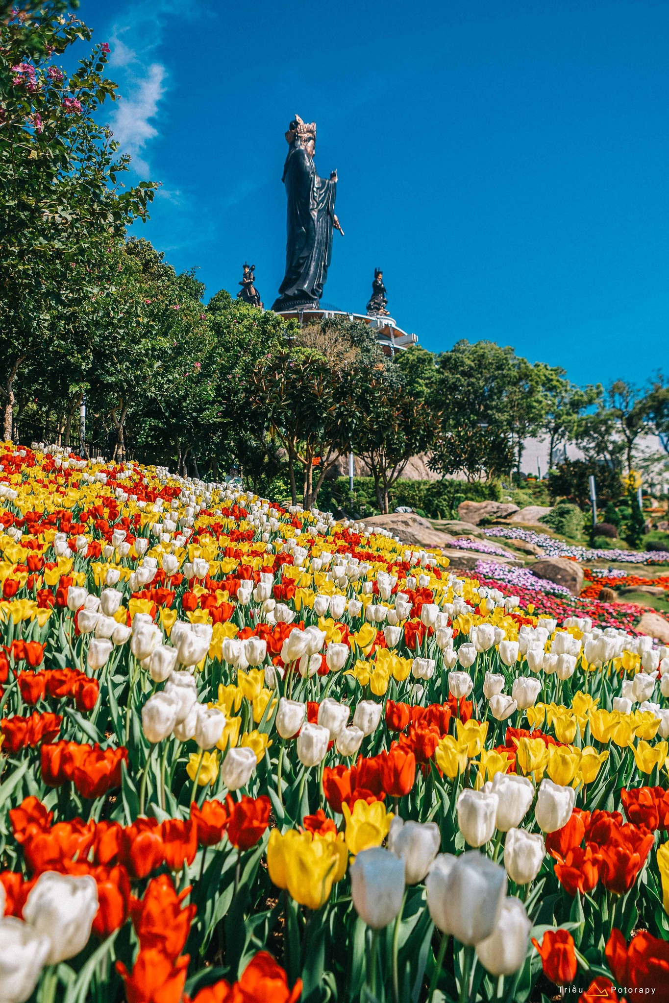 Cẩm Nang Tham Dự Hội Xuân Núi Bà 2026 Từ A-Z: Rước Lộc Đầu Năm