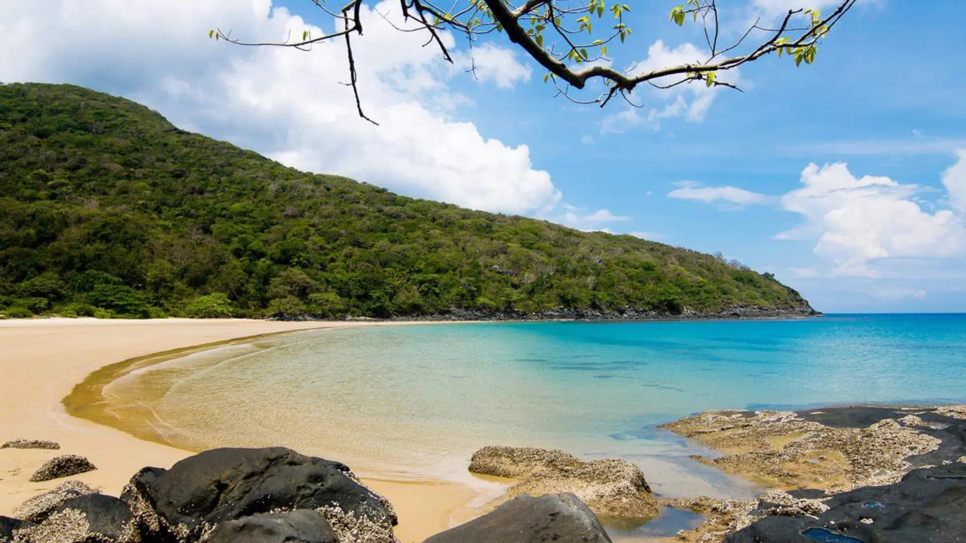 Du Lịch Côn Đảo Tự Túc 2026: Lịch Trình, Chi Phí, Ăn Gì, Ở Đâu, Chơi Gì?