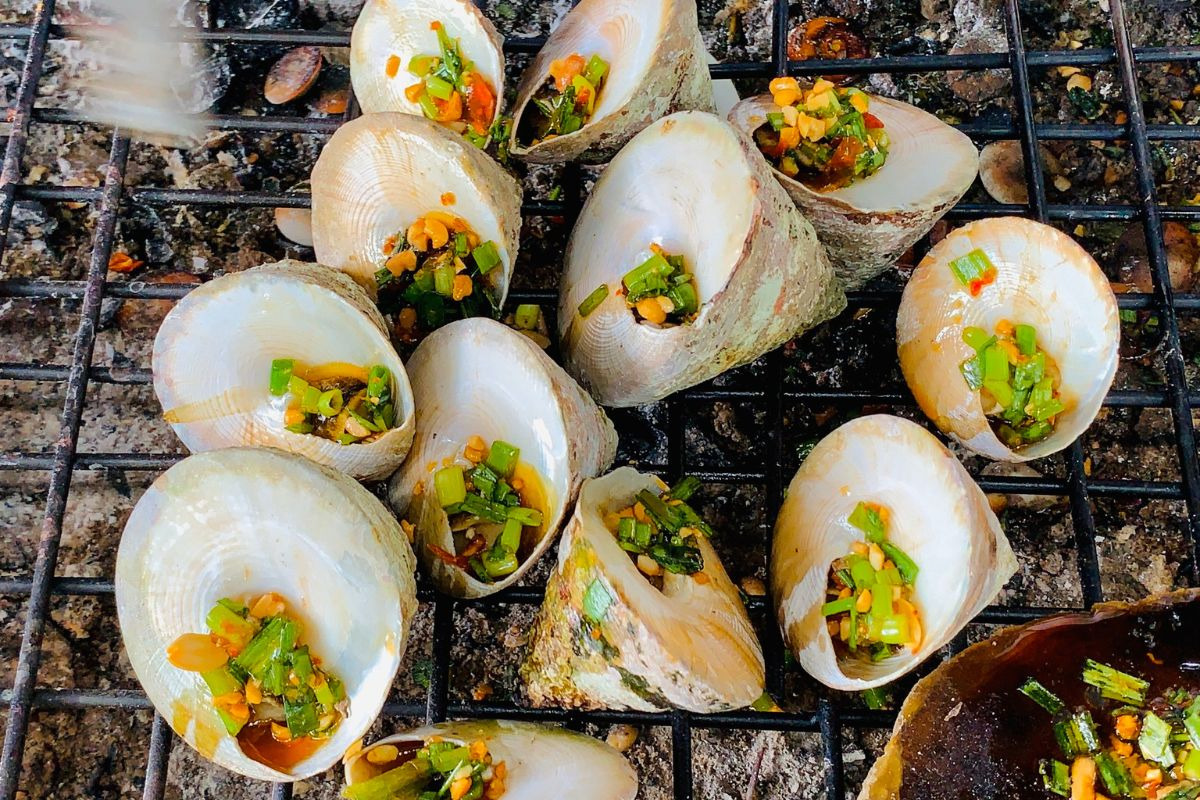 Ốc vú nàng - đặc sản Côn Đảo