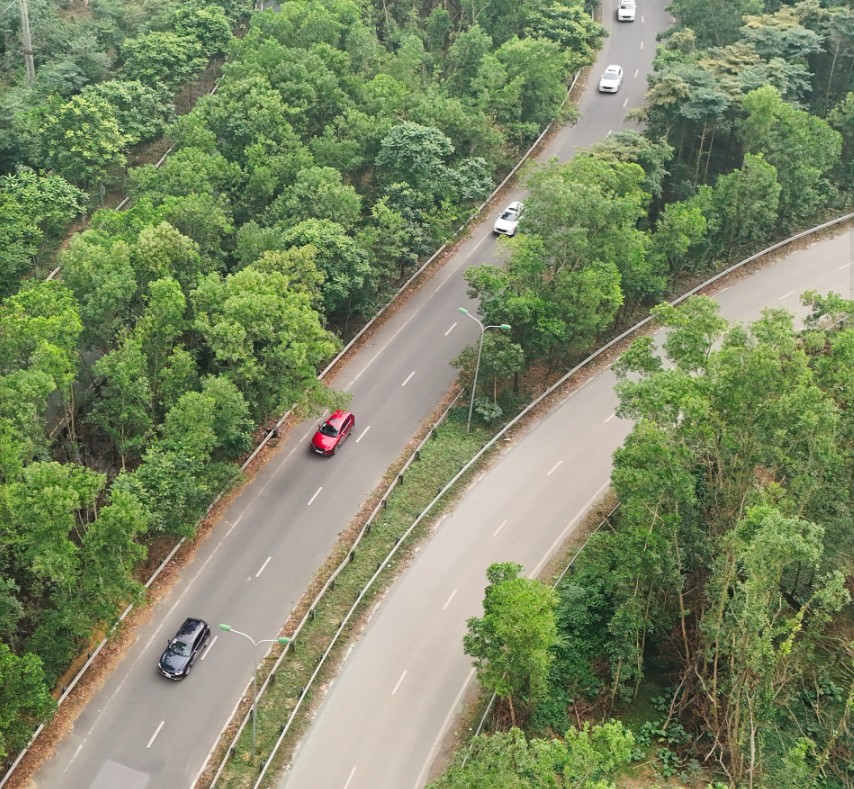 Lộ Trình Đi Vũng Tàu Từ TPHCM: Kinh Nghiệm Thuê Xe Tự Lái Dịp Tết 2025 post image