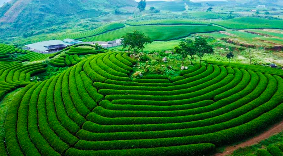 Top 10 Tỉnh Thành Du Lịch Doanh Thu Cao Nhất Kỳ Nghỉ Lễ 30/4 2025 post image