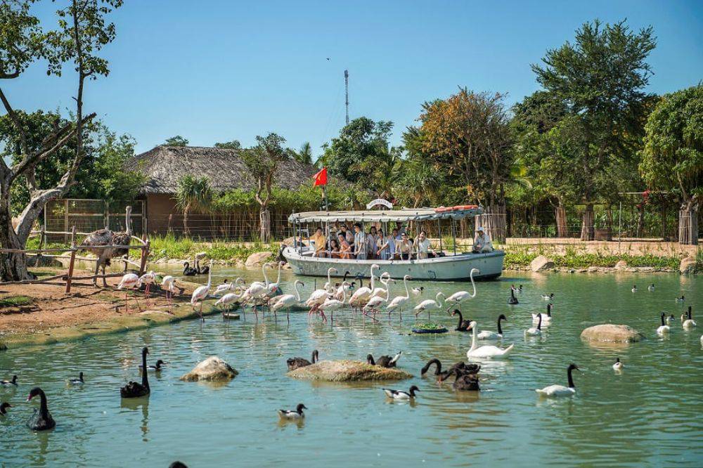 Vinpearl River Safari Nam Hội An 2025 Có Gì? Review Tất Tần Tật Giá Vé, Giờ Mở Cửa, Và Kinh Nghiệm Tham Quan post image