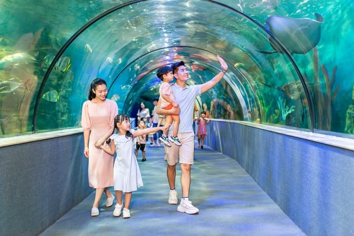 Thủy Cung Times City Ở Đâu? Chơi Gì, Ăn Gì & Gợi Ý Di Chuyển post image