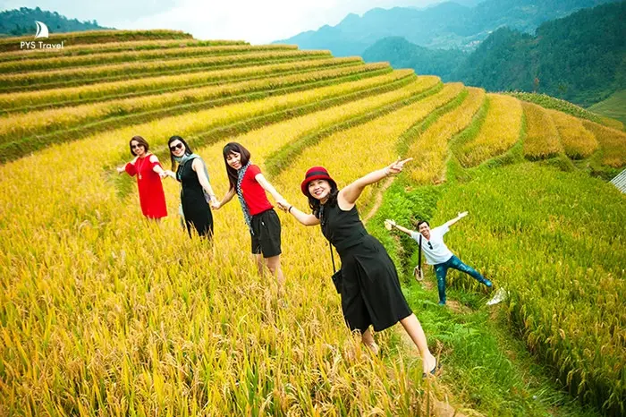 Mùa Lúa Chín Ở Đâu Đẹp Nhất? Gợi Ý Lịch Trình, Thời Gian, Địa Điểm Du Lịch Từ A Tới Z post image