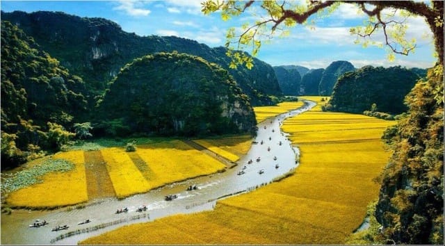 Hướng Dẫn Từ A Tới Z Đi Thuyền Ngắm Lúa Chín Tam Cốc: Giá Vé, Lịch Trình & Kinh Nghiệm Chụp Ảnh post image
