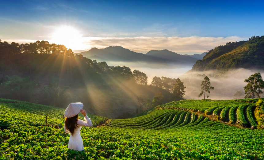 Những ngày nghỉ lễ chính thức và nghỉ bù ở Việt Nam năm 2025 bạn nên biết