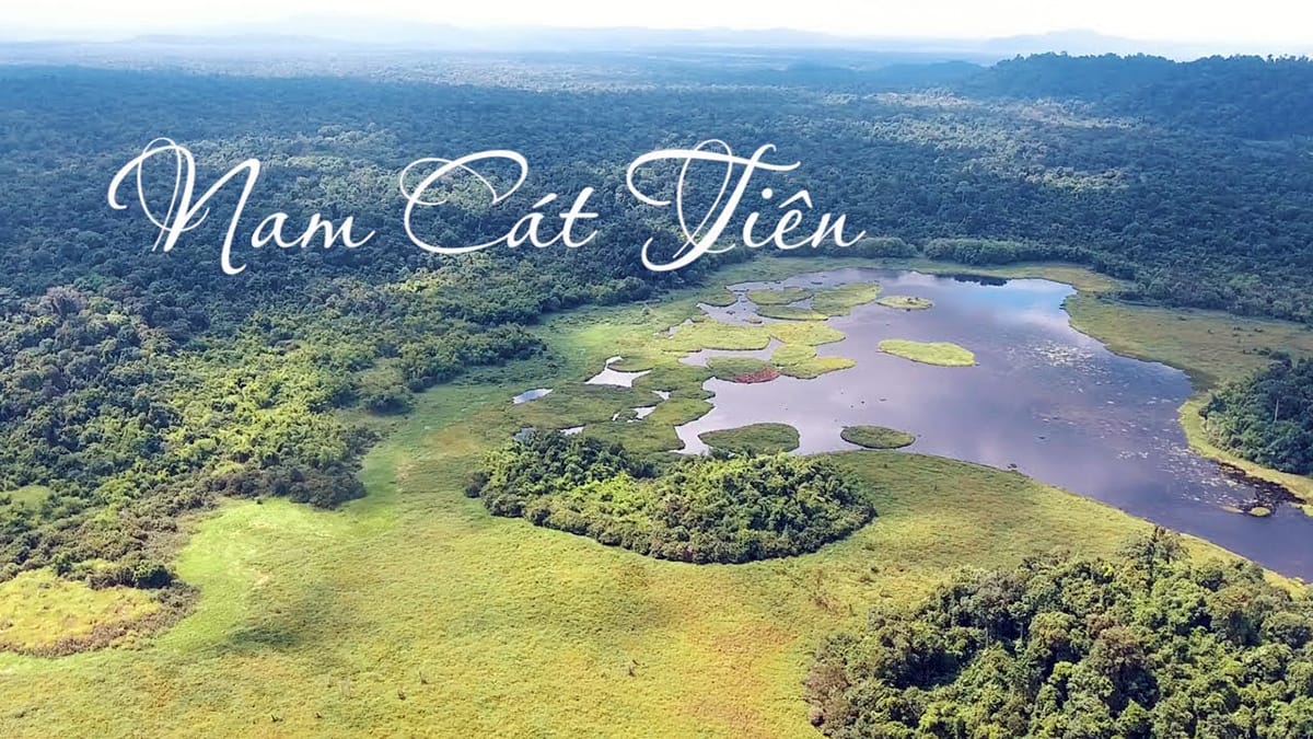 Du Lịch Vườn Quốc Gia Nam Cát Tiên 2025: Hướng Dẫn Tham Quan, Địa Chỉ, Giá Vé Và Mẹo Di Chuyển